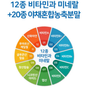 코오롱제약 4세대 프로바이오틱스 180정 x2세트 12개월 혼합 유산균 ... 맛있게 먹은 솔직 후기 - 상품 이미지 3