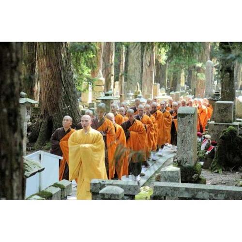 일본 와카야마: 현지 가이드와 함께하는 고야산 프라이빗 워킹 투어 솔직 후기 | 실사용자 리뷰 분석 - 대표 이미지