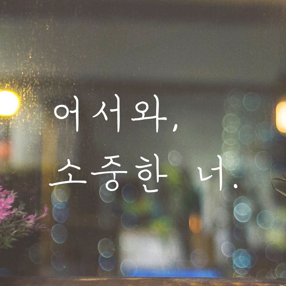 손글씨 감성 레터링 스티커 어서와 소중한 너 현관문 매장 LH-021S 검정 - 상세 이미지 5