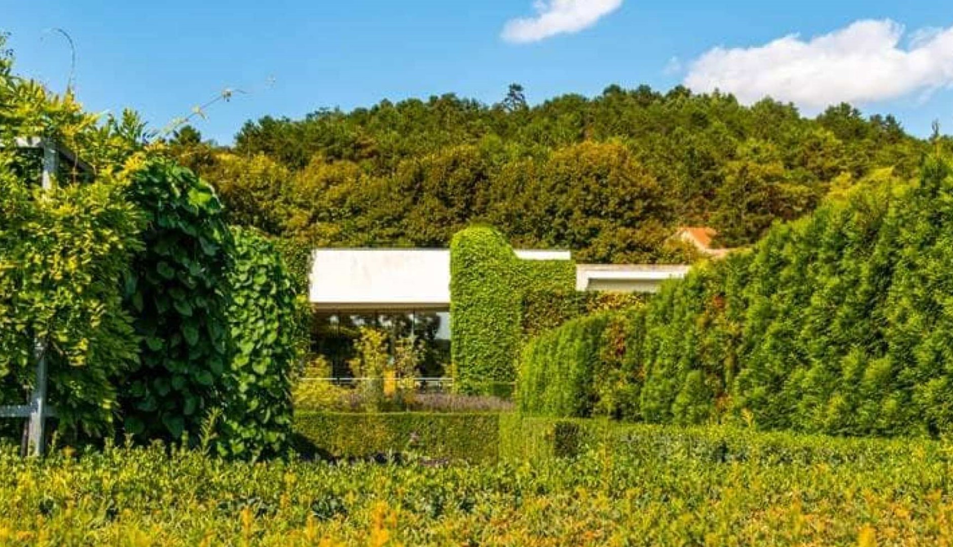 프랑스 파리에서 출발하는 지베르니 모네의 정원 반나절 여행 가이드 투어(교통편 포함) 이미지 3