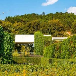 프랑스 파리에서 출발하는 지베르니 모네의 정원 반나절 여행 가이드 투어(... 솔직 후기 | 실사용자 리뷰 분석 - 상품 이미지 3