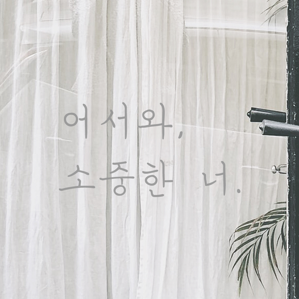손글씨 현관문 레터링 스티커 어서와 소중한 너 LH-021S검정 이미지 7