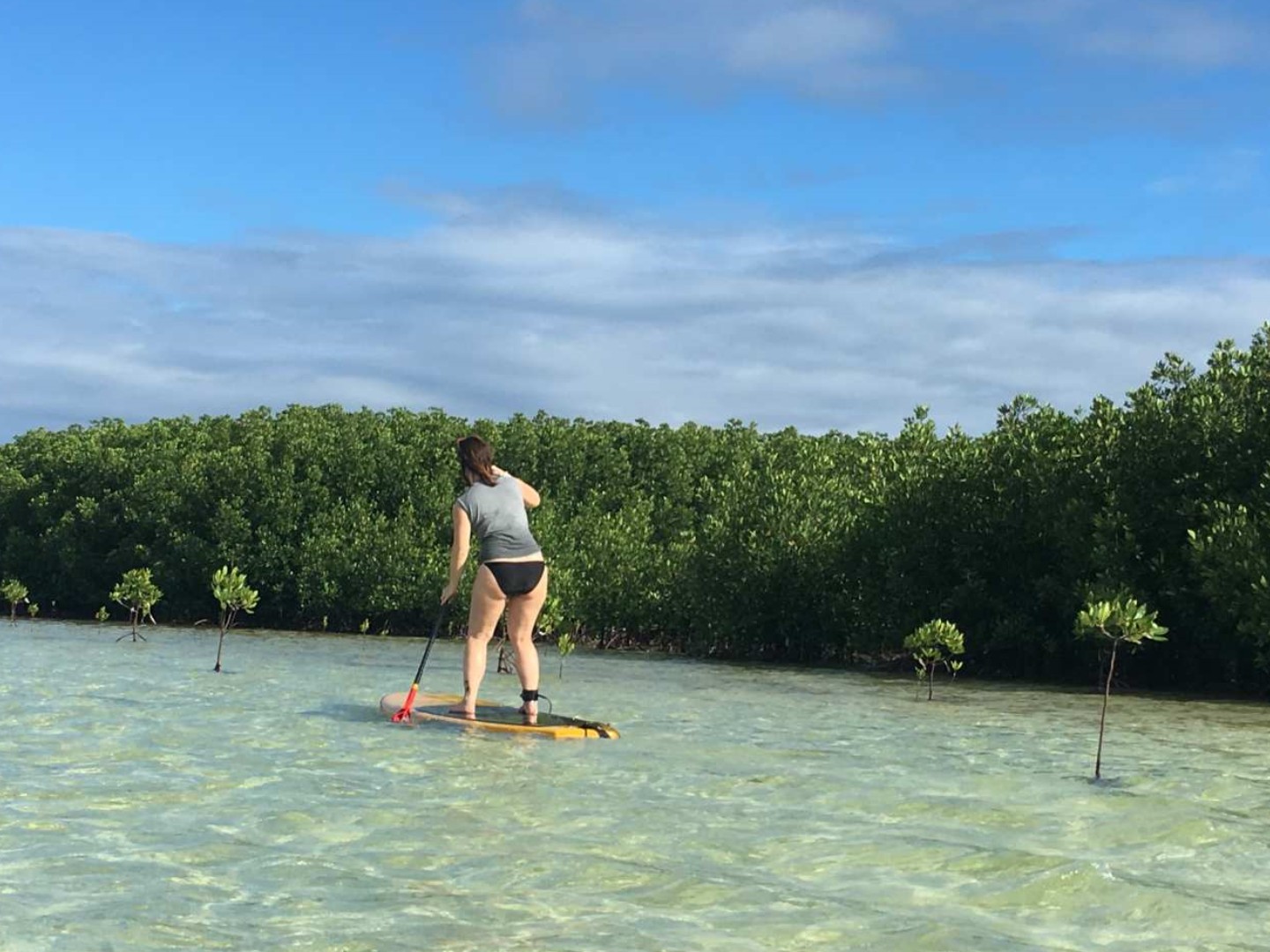 필리핀 제도 모터 보트 이동 서비스가 포함된 하루 종일 맹그로브 패들링(올랑고) 이미지 4