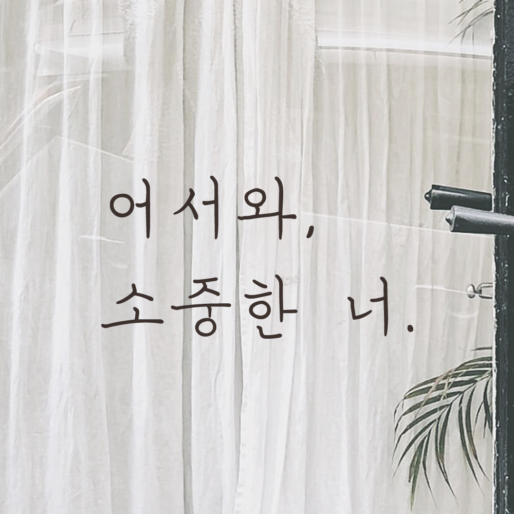 손글씨 감성 레터링 스티커 어서와 소중한 너 현관문 매장 LH-021S 검정 - 상품 이미지