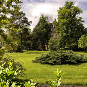 프랑스 파리에서 출발하는 교통편과 오디오 가이드가 포함된 퐁텐블로와 보 ... 솔직 후기 | 실사용자 리뷰 분석 - 상품 이미지 2