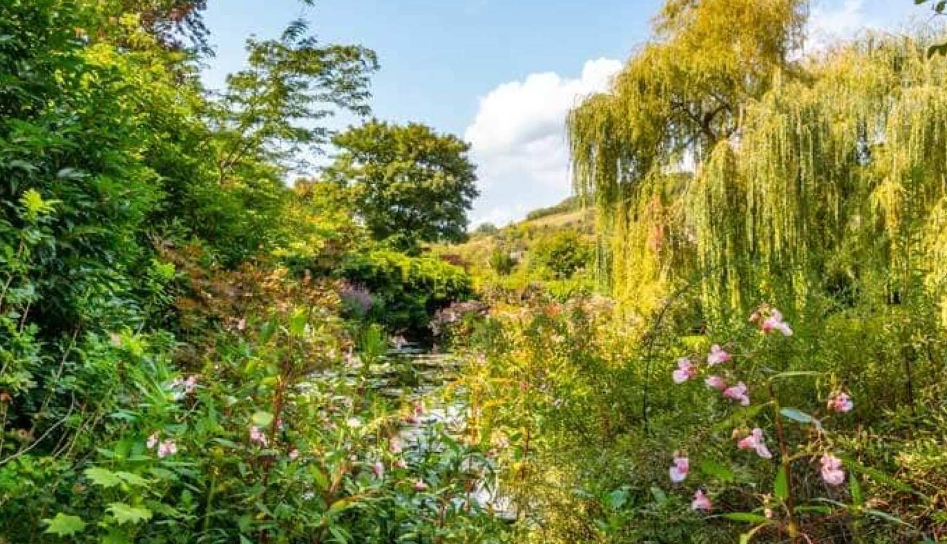 프랑스 파리에서 출발하는 지베르니 모네의 정원 반나절 여행 가이드 투어(교통편 포함) 이미지 4