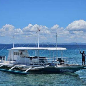 [한국인전용] 필리핀 세부 호핑투어(오전출발,스노클링,씨푸드중식,마사지선... 솔직 후기 | 실사용자 리뷰 분석 - 상품 이미지 1