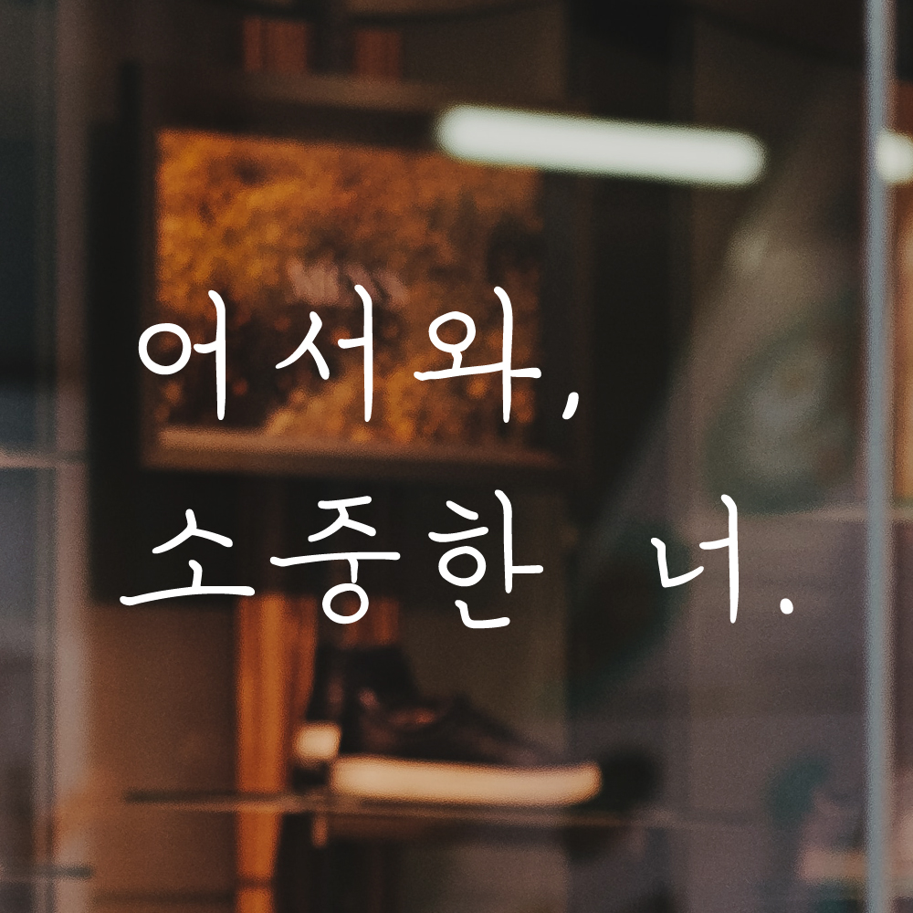 손글씨 감성 레터링 스티커 어서와 소중한 너 현관문 매장 LH-021S 검정 이미지 6