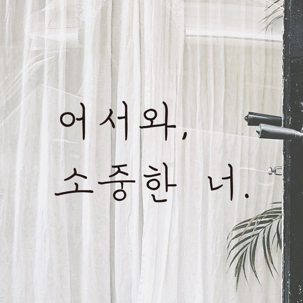 손글씨 현관문 레터링 스티커 어서와 소중한 너 LH-021S검정 - 상세 이미지 5