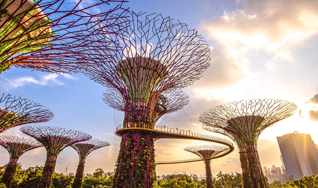 싱가포르 가든스바이더베이 츠타 (Tsuta) 이미지 3