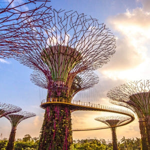 싱가포르 가든스바이더베이 츠타 (Tsuta) 솔직 후기 | 실사용자 리뷰 분석 - 상품 이미지 3