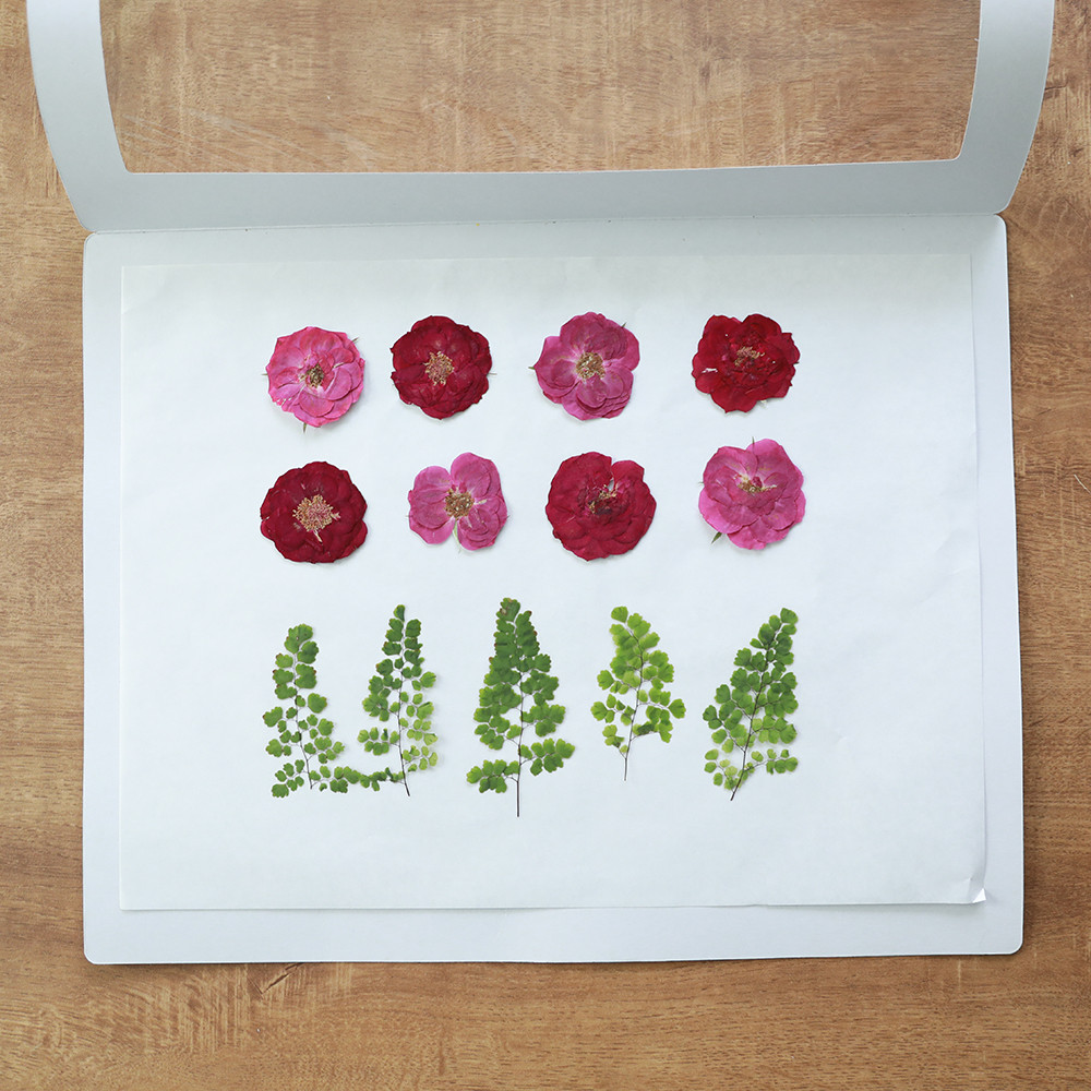 체크스토리 압화보관봉투 대사이즈 압화만들기 공예 꽃말리기 - 상세 이미지 4