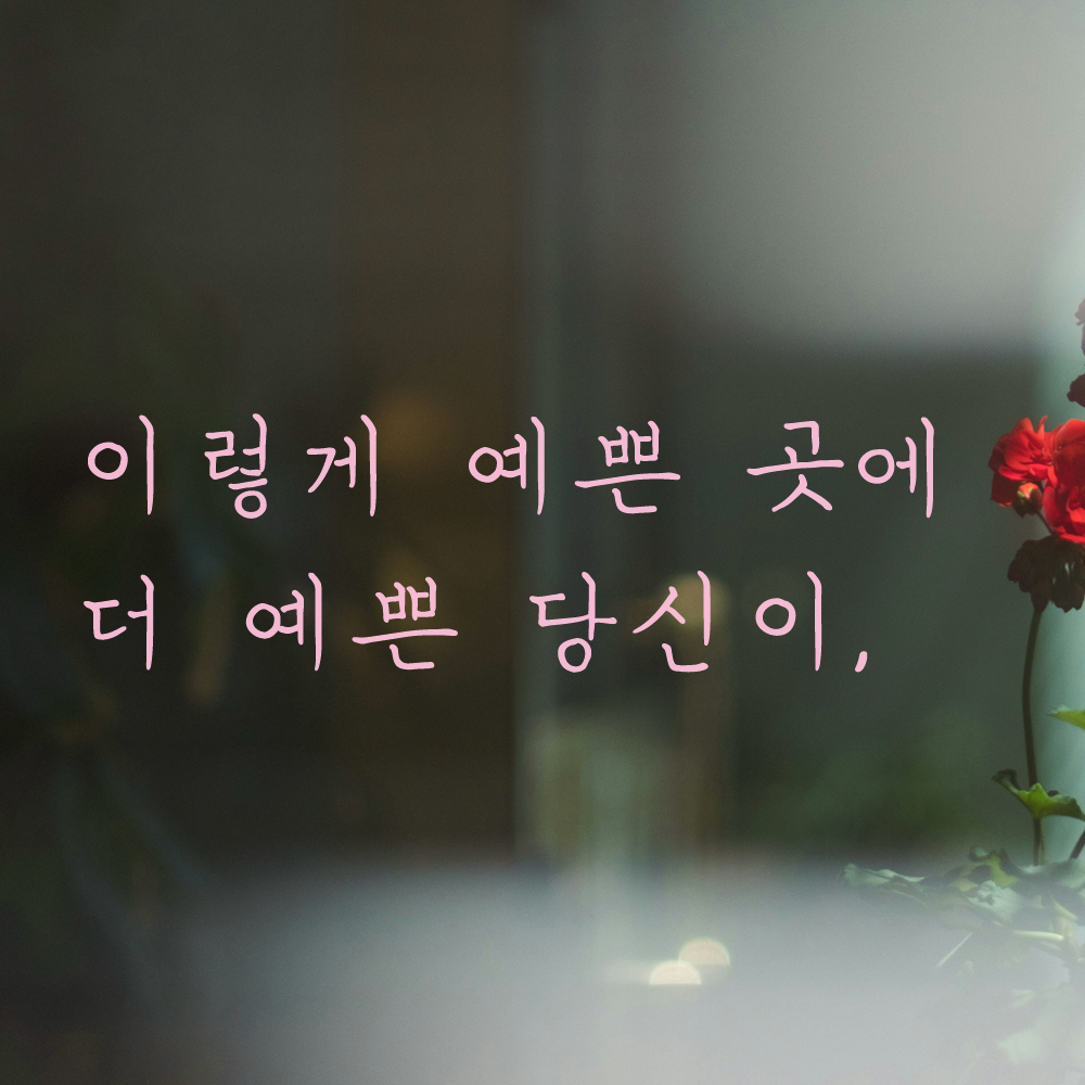 손글씨 감성 레터링 스티커 이렇게 예쁜 곳에 더 예쁜 당신이 카페 펜션 LH-047S 검정 이미지 8