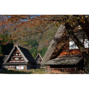 일본 가나자와: 1일 또는 2일 렌터카 솔직 후기 | 실사용자 리뷰 분석 - 상품 이미지 4