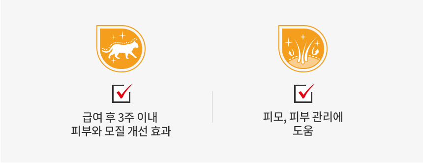 로얄캐닌 캣 헤어앤스킨, 400g, 1개 - 상세 이미지 3