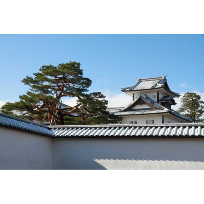 일본 가나자와 반나절 개인 가이드 투어 이미지 3