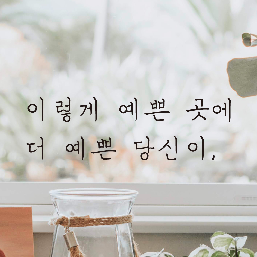 손글씨 감성 레터링 스티커 이렇게 예쁜 곳에 더 예쁜 당신이 카페 펜션 LH-047S 검정 - 상세 이미지 4