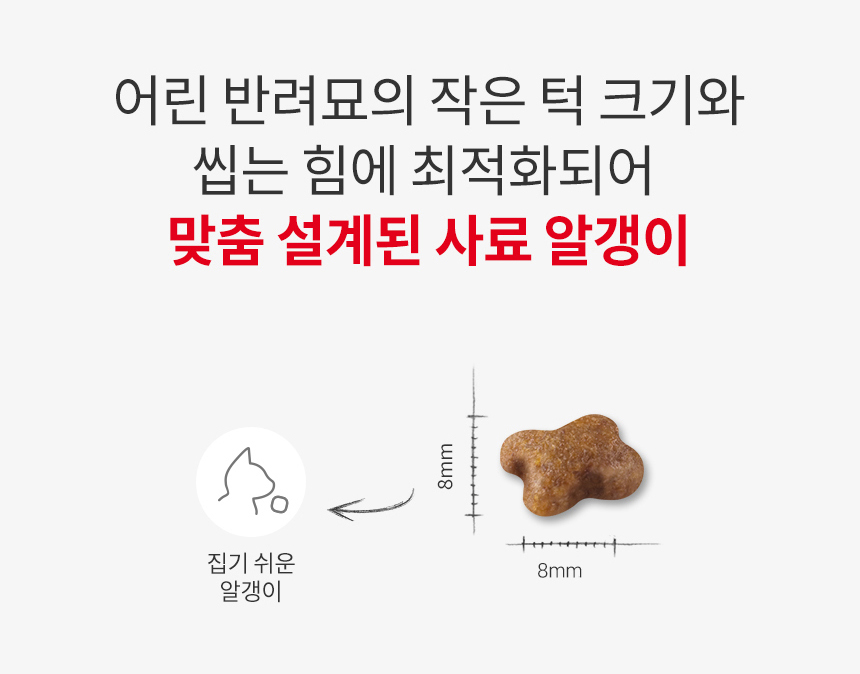 [유통기한 2027.05.23] 로얄캐닌 캣 키튼, 10kg, 1개