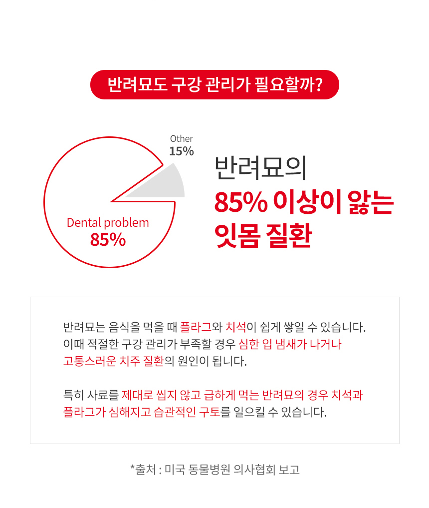 로얄캐닌 캣 덴탈케어, 400g, 1개 - 상세 이미지 3