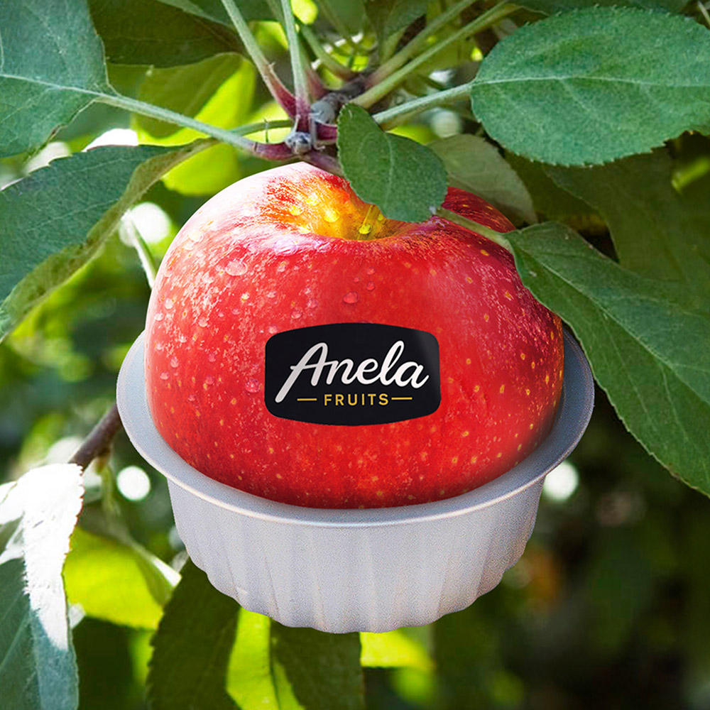 아넬라 과일퓨레 아기 첫과일 세트 (5팩+HOP3팩) 이유식퓨레 아이간식