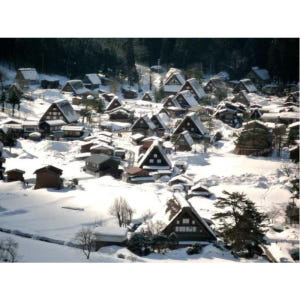 일본 가나자와 출발 시라카와고, 고카야마 & 다카야마 프라이빗 투어 솔직 후기 | 실사용자 리뷰 분석 - 상품 이미지 2