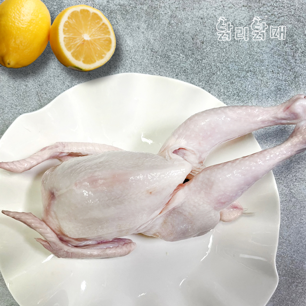 국내산 통 손질 백숙 삼계닭 45호 50호 55호 개별포장 삼계 (냉장/냉동) : 닭리닭매