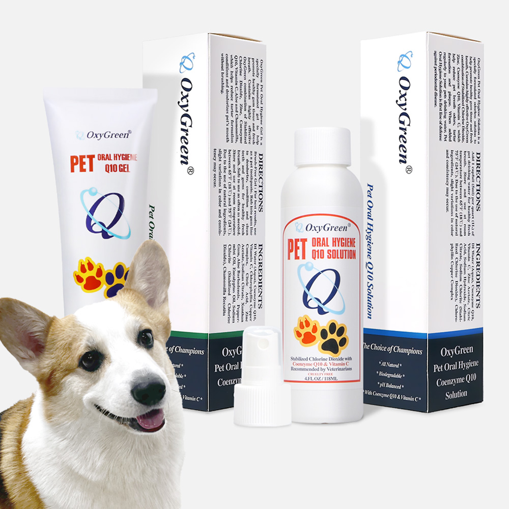 옥시그린 강아지 바르는치약 + 뿌리는치약 2종세트 입냄새 잇몸염증 구강젤 구강스프레이