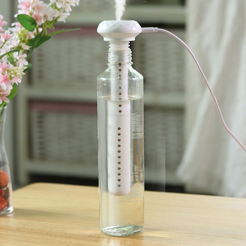 트윈스파파 휴대용 여행용 탁상용 USB 미니 물병 가습기(P0000TJB... 개봉기 | 실사용 후기 - 대표 이미지