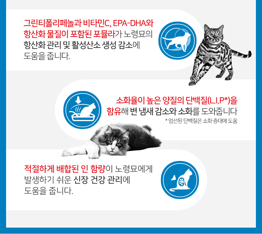 [유통기한 2027.05.15] 로얄캐닌 캣 인도어 7세이상, 3.5kg, 1개