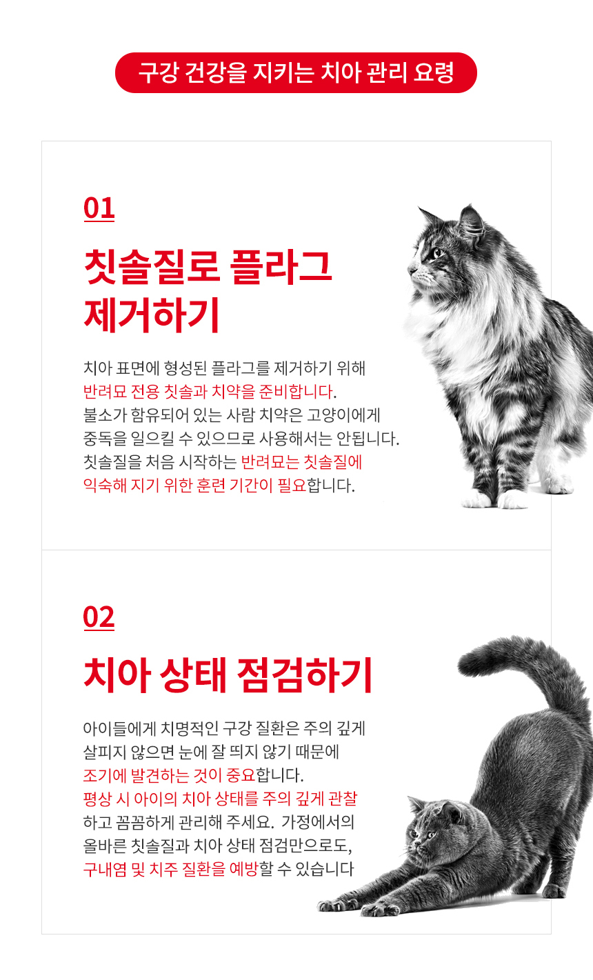 로얄캐닌 캣 덴탈케어, 400g, 1개 - 상세 이미지 4