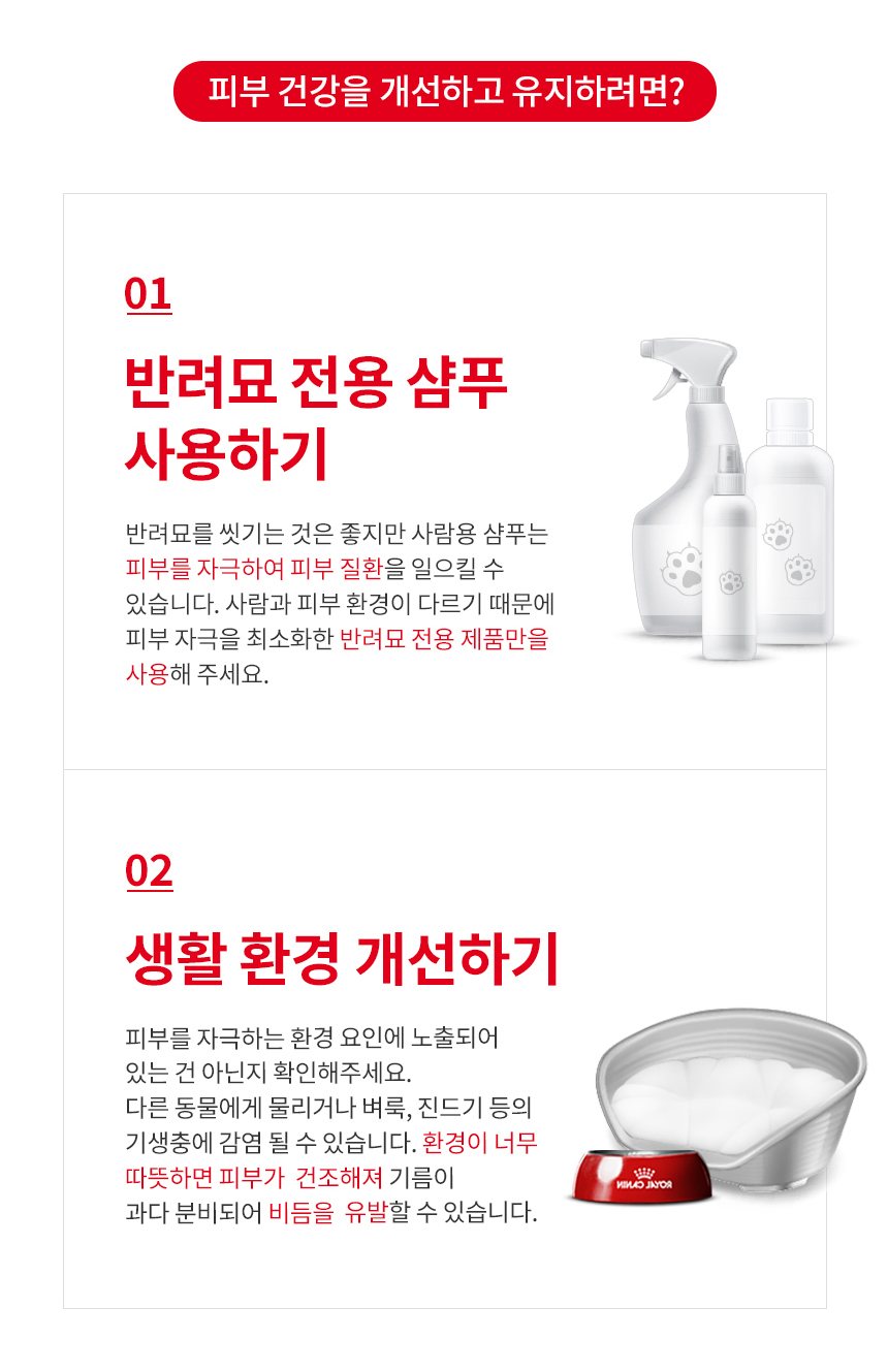 로얄캐닌 캣 헤어앤스킨, 400g, 1개 - 상세 이미지 5