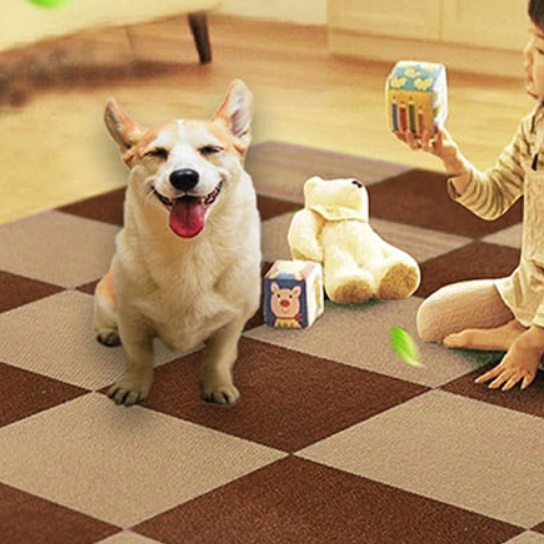 강아지 미끄럼 방지 장판 거실 애견 카페트 바닥 애견 러그