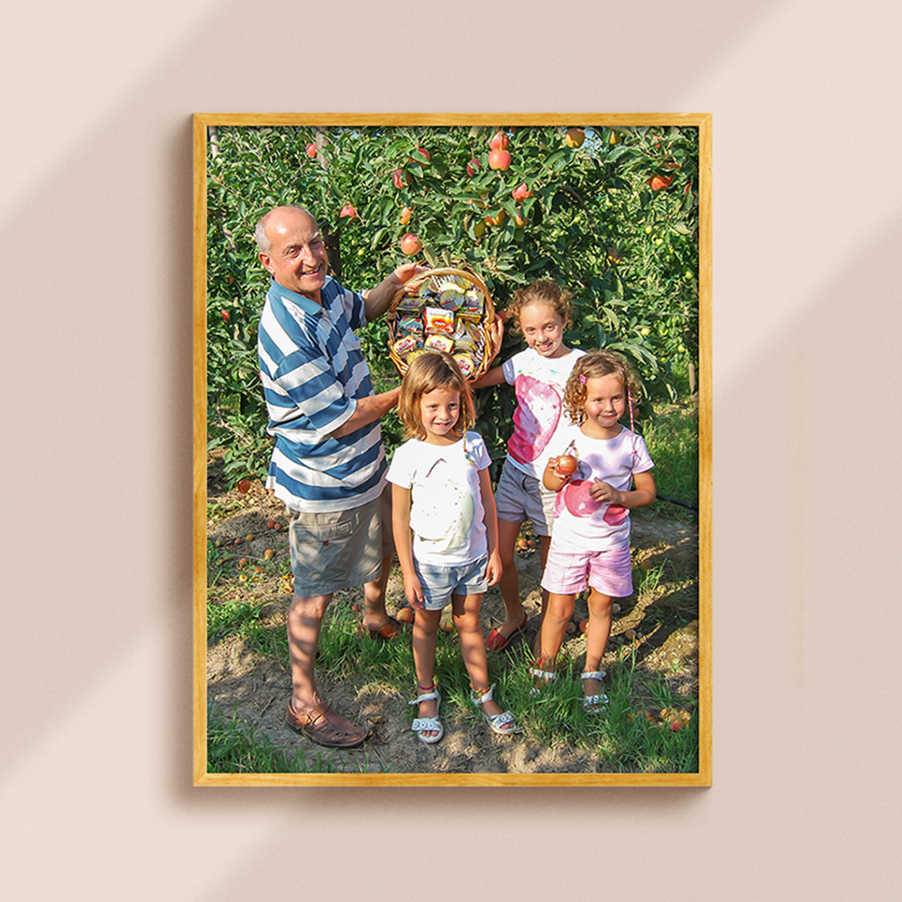 아넬라 과일퓨레 아기 첫과일 세트 (5팩+HOP3팩) 이유식퓨레 아이간식