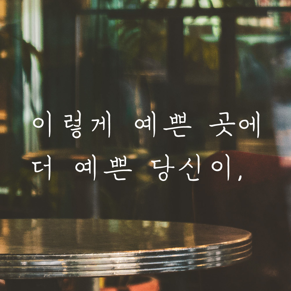 손글씨 감성 레터링 스티커 이렇게 예쁜 곳에 더 예쁜 당신이 카페 펜션 LH-047S 검정 이미지 7