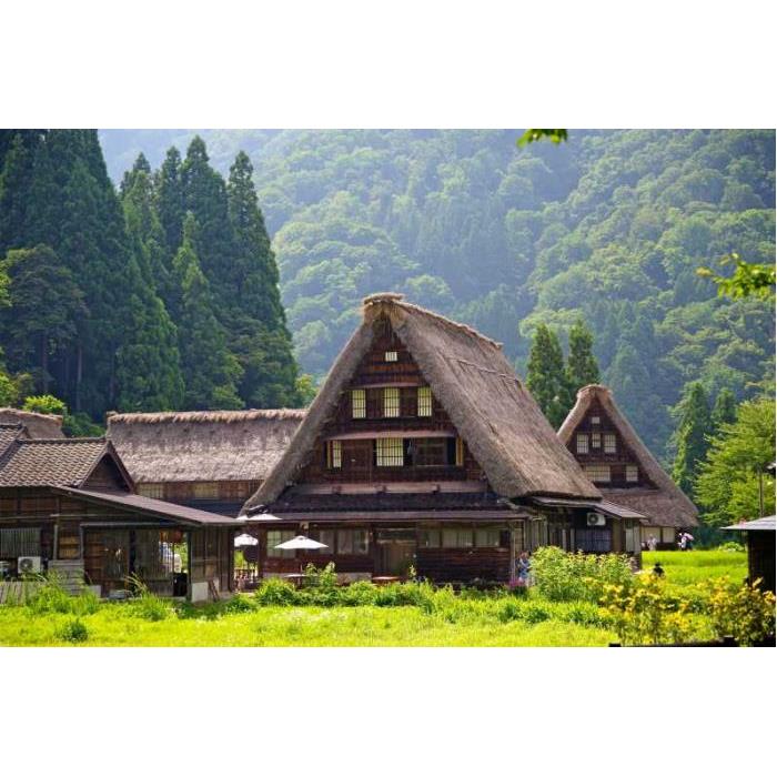 일본 가나자와 출발 시라카와고, 고카야마 & 다카야마 프라이빗 투어 이미지 3