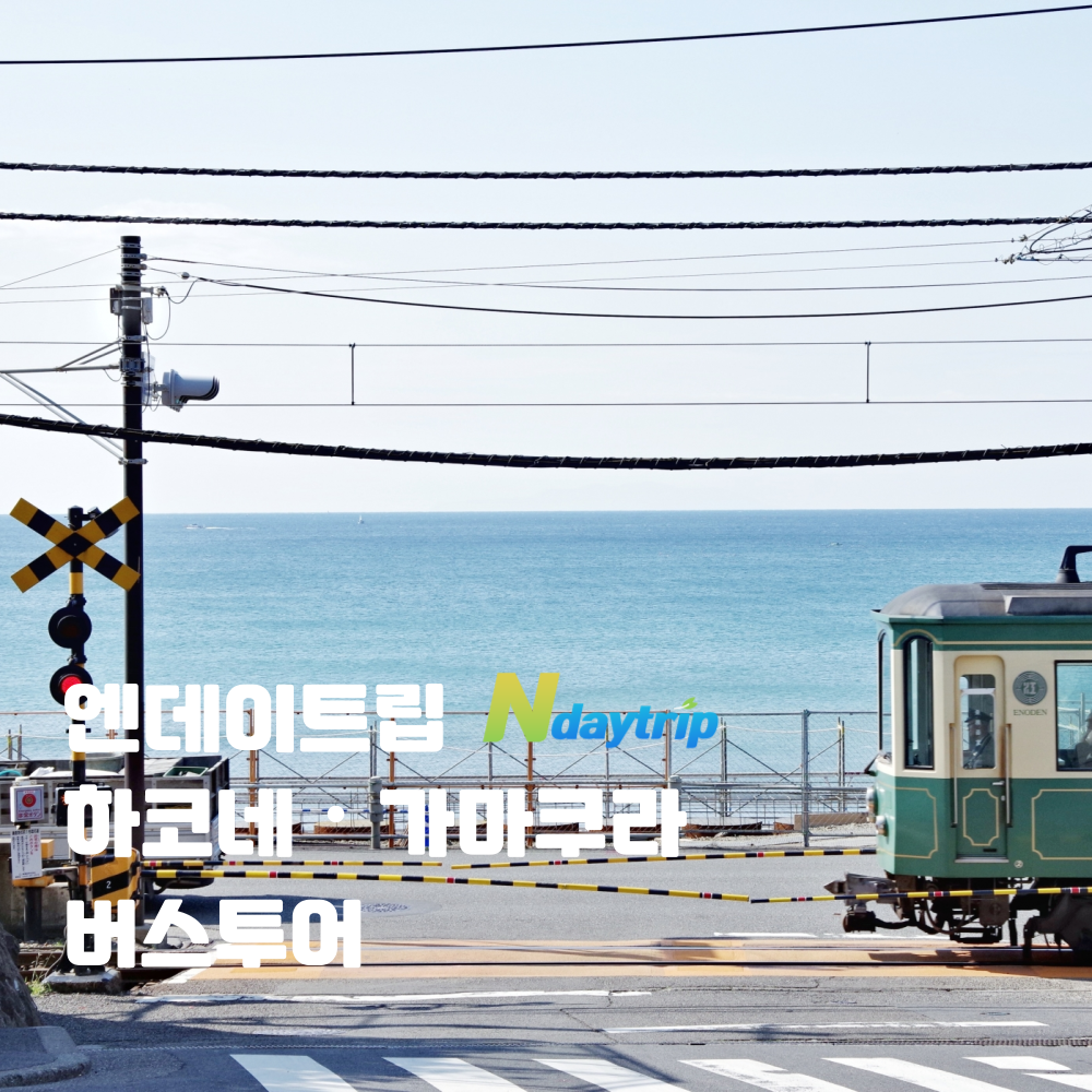 [에노덴 기차표 특전] 도쿄 하코네&가마쿠라 일일버스투어 한국인 가이드 - 상품 이미지
