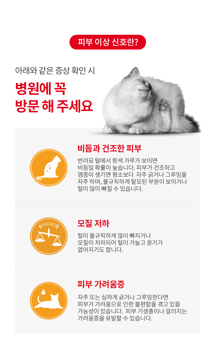 로얄캐닌 캣 헤어앤스킨, 400g, 1개 - 상세 이미지 4