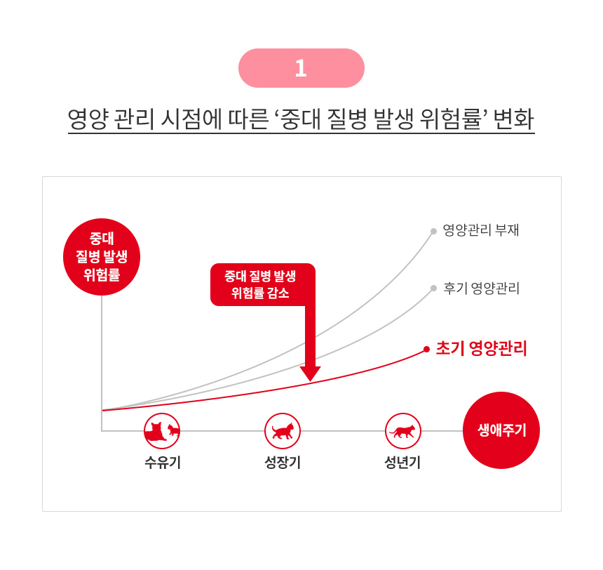 [유통기한 2027.05.23] 로얄캐닌 캣 키튼, 10kg, 1개