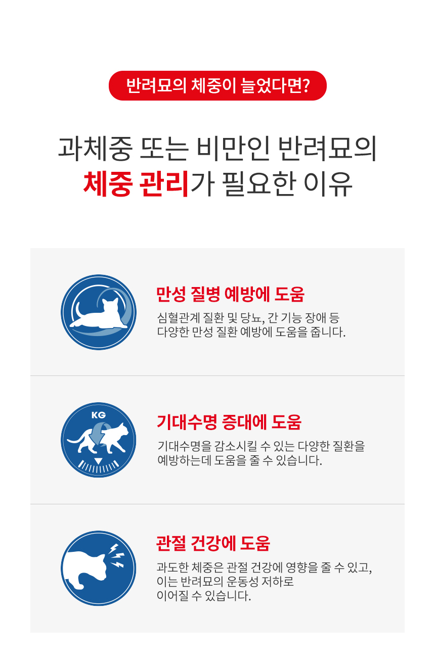 로얄캐닌 캣 라이트 웨이트, 400g, 1개 이미지 8