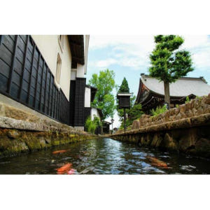 일본 가나자와 출발: 시라카와고, 히다 후루카와, 다카야마 방문하기 솔직 후기 | 실사용자 리뷰 분석 - 상품 이미지 3