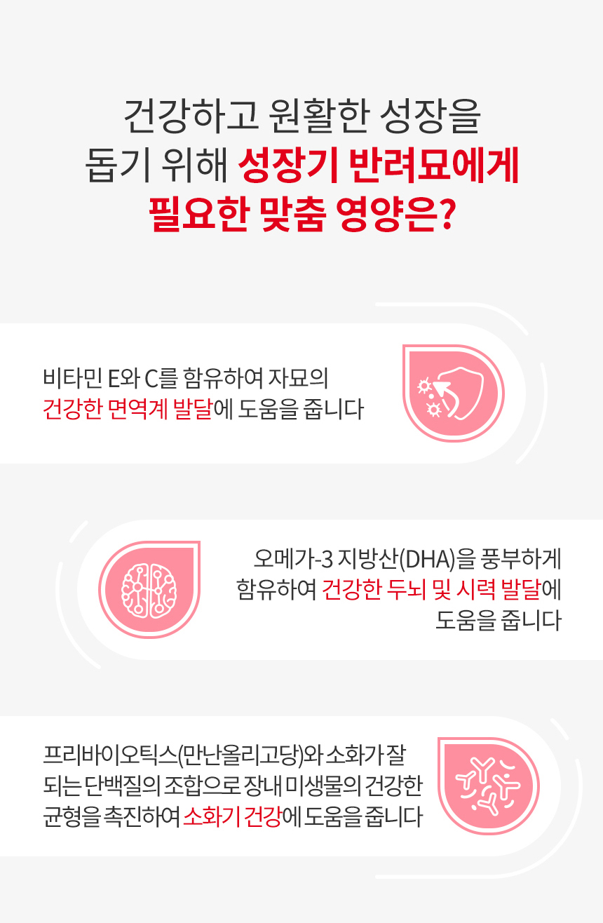 [유통기한 2027.05.23] 로얄캐닌 캣 키튼, 10kg, 1개