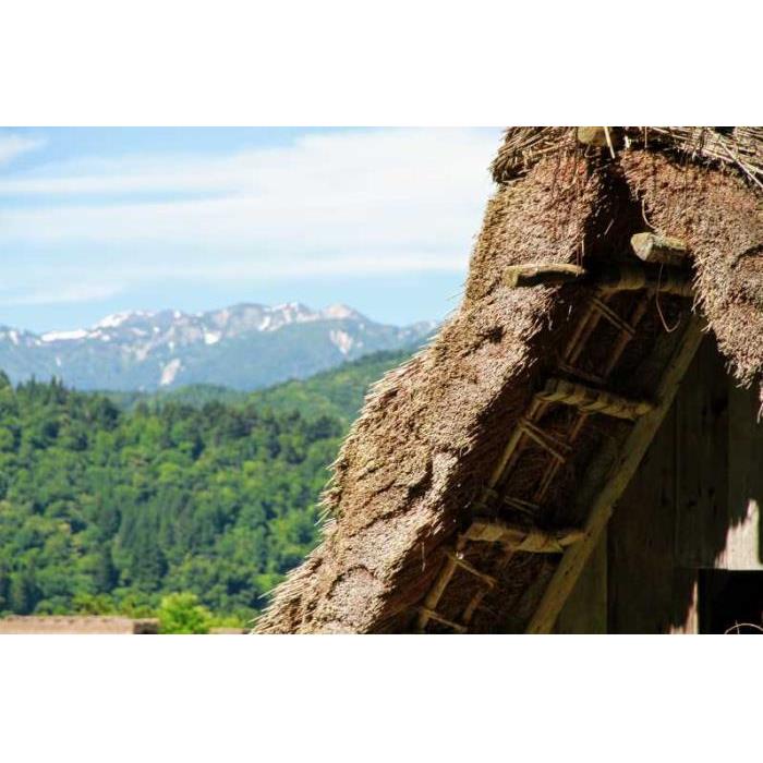 일본 가나자와 출발: 시라카와고, 히다 후루카와, 다카야마 방문하기 이미지 4