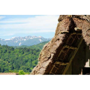 일본 가나자와 출발: 시라카와고, 히다 후루카와, 다카야마 방문하기 솔직 후기 | 실사용자 리뷰 분석 - 상품 이미지 4