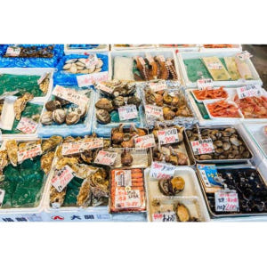 일본 가나자와: 개인 음식 시음 워킹 투어 솔직 후기 | 실사용자 리뷰 분석 - 상품 이미지 4