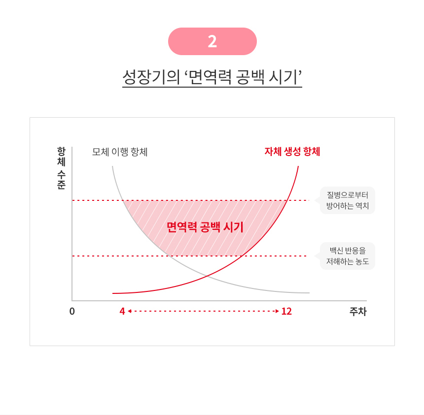 [유통기한 2027.05.23] 로얄캐닌 캣 키튼, 10kg, 1개