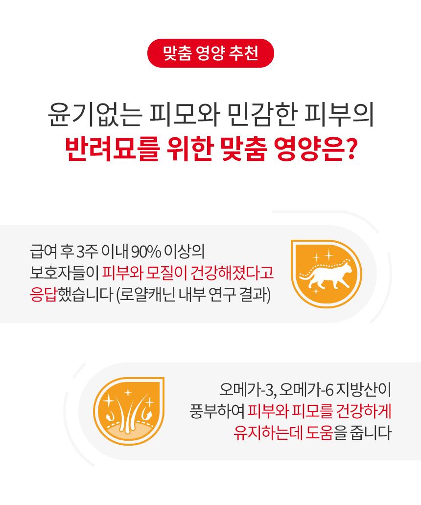 로얄캐닌 캣 헤어앤스킨, 400g, 1개 이미지 6