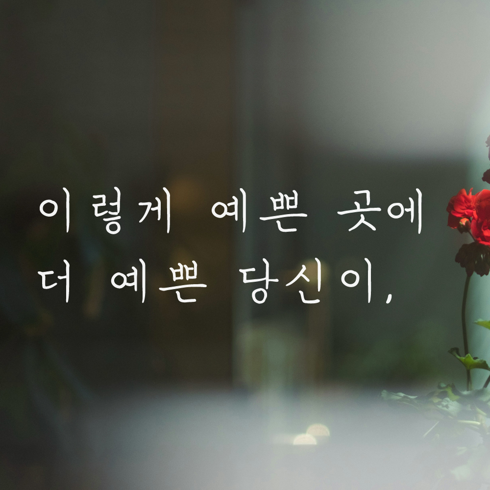 손글씨 감성 레터링 스티커 이렇게 예쁜 곳에 더 예쁜 당신이 카페 펜션 LH-047S 검정 - 상세 이미지 5