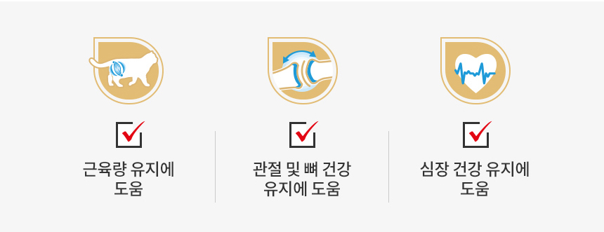 로얄캐닌 캣 브리티쉬 숏헤어, 400g, 1개 - 상세 이미지 4