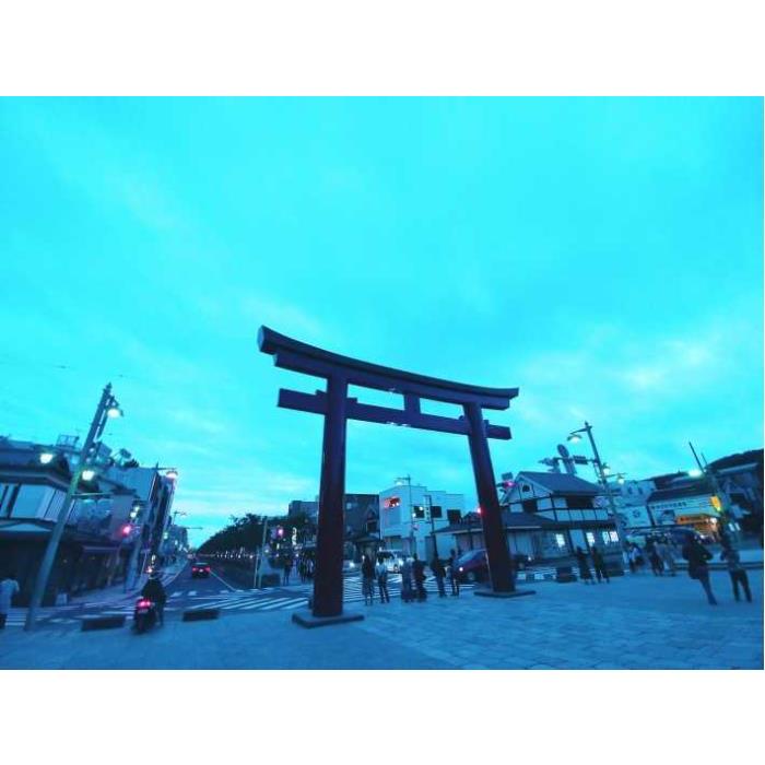 일본 하코네와 가마쿠라: 3일 레일 패스 이미지 3