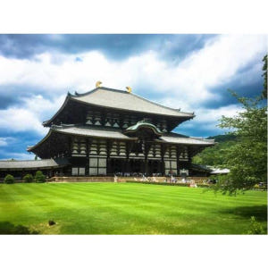 일본 나라: 개인 가이드와 함께하는 개인 투어 솔직 후기 | 실사용자 리뷰 분석 - 상품 이미지 4